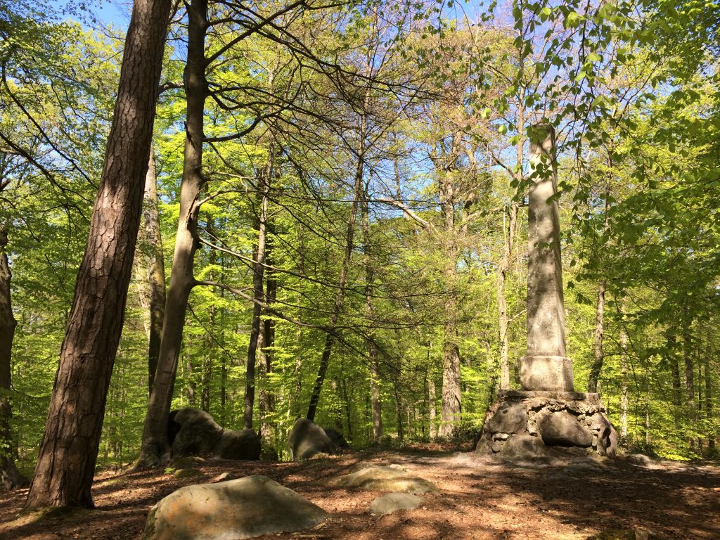 Balade nature autour de Chaumontel “La vie des arbres et le réveil de la nature”