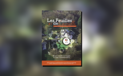 Les Feuilles de Carnelle #7