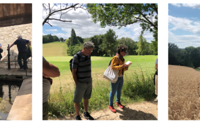 Randonnée Nature & Patrimoine de l’Office de Tourisme Communautaire