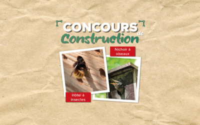 Concours de construction pour la journée communautaire de l’environnement