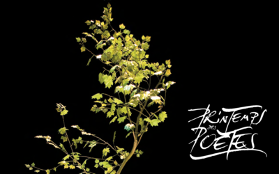 Printemps des poètes