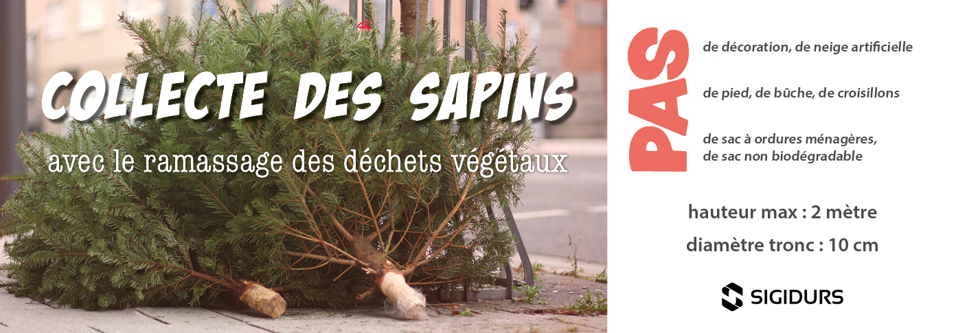 SIGIDURS : COLLECTE DE SAPINS - Carnelle Pays-de-France