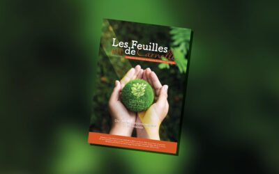 Les Feuilles de Carnelle #11