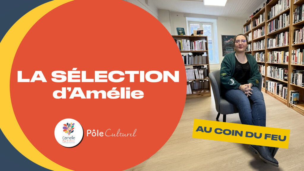 Vignettes – La Sélection d’Amélie, au coin du feu – Bandeau Site internet2