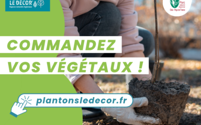 PNR : Plantez local avec l’opération « Plantons le décor© »